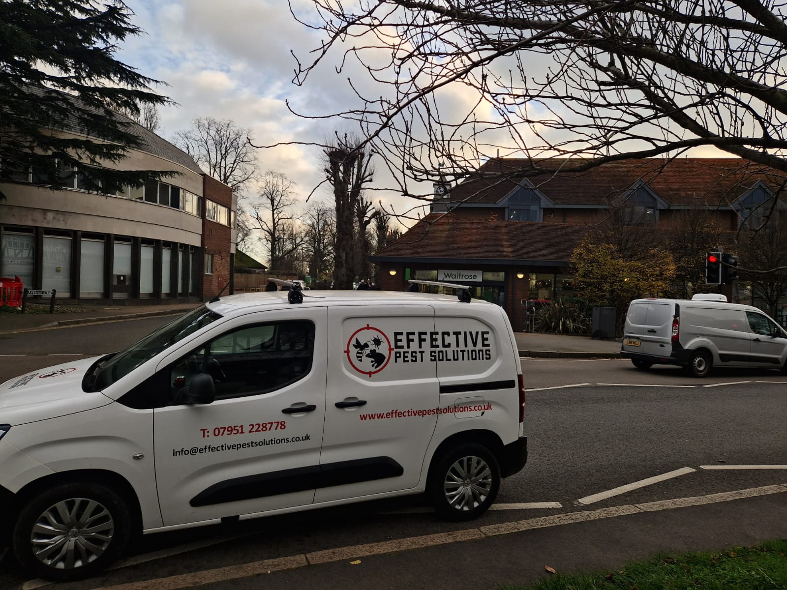 Pest controller near me in Banstead