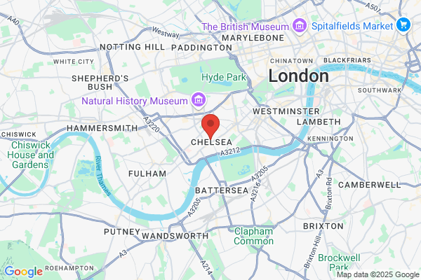 Pest control experts Chelsea