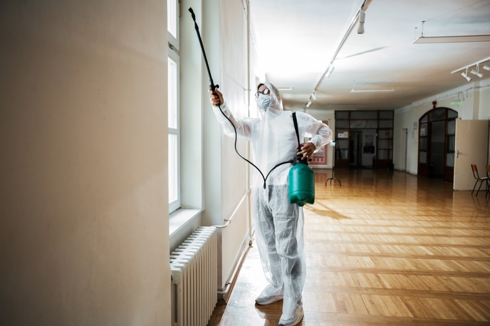 Pest controller near me in Shepperton