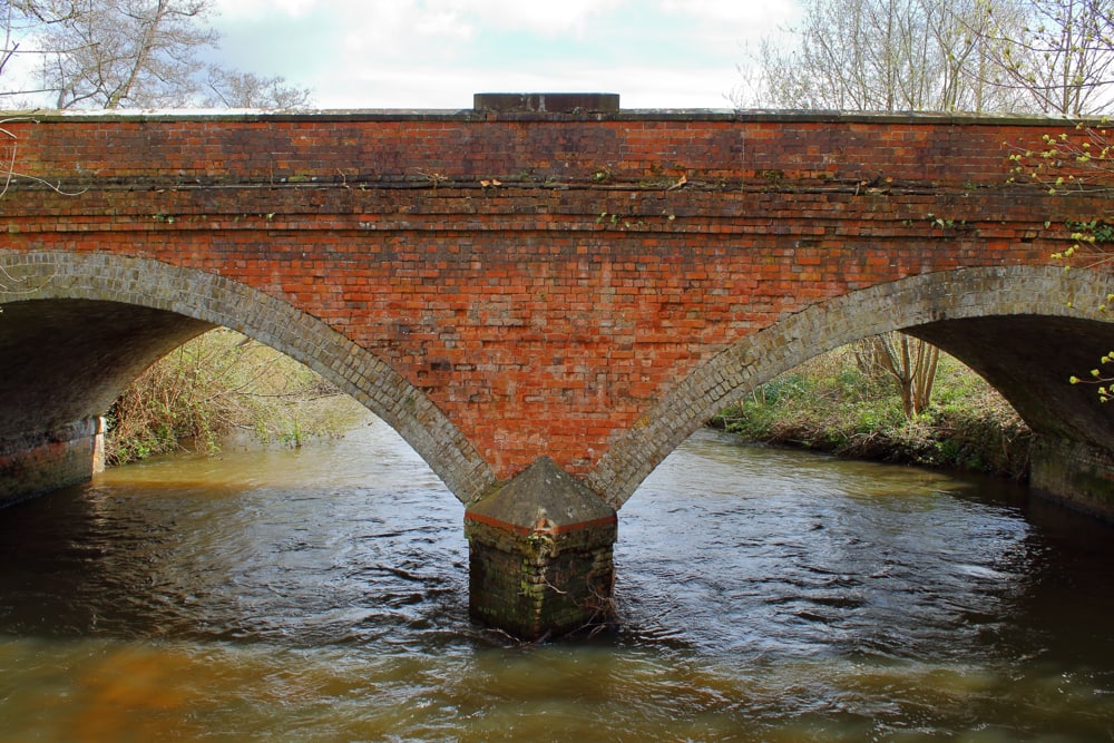 Pest Services In Godalming Pest controller near me in Godalming