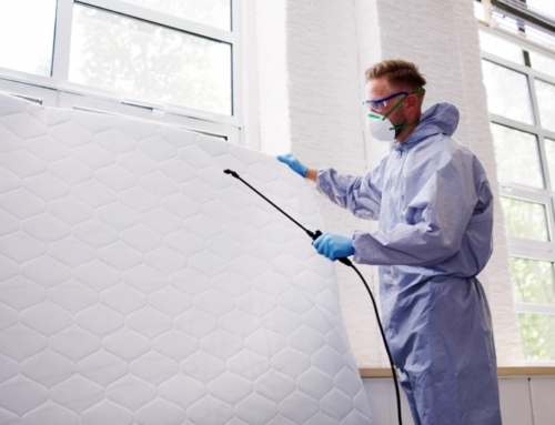 What should you do before a pest control visit?