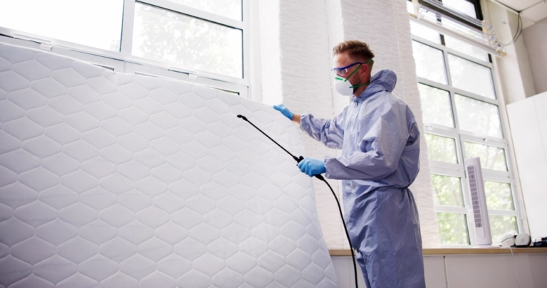 What should you do before a pest control visit?