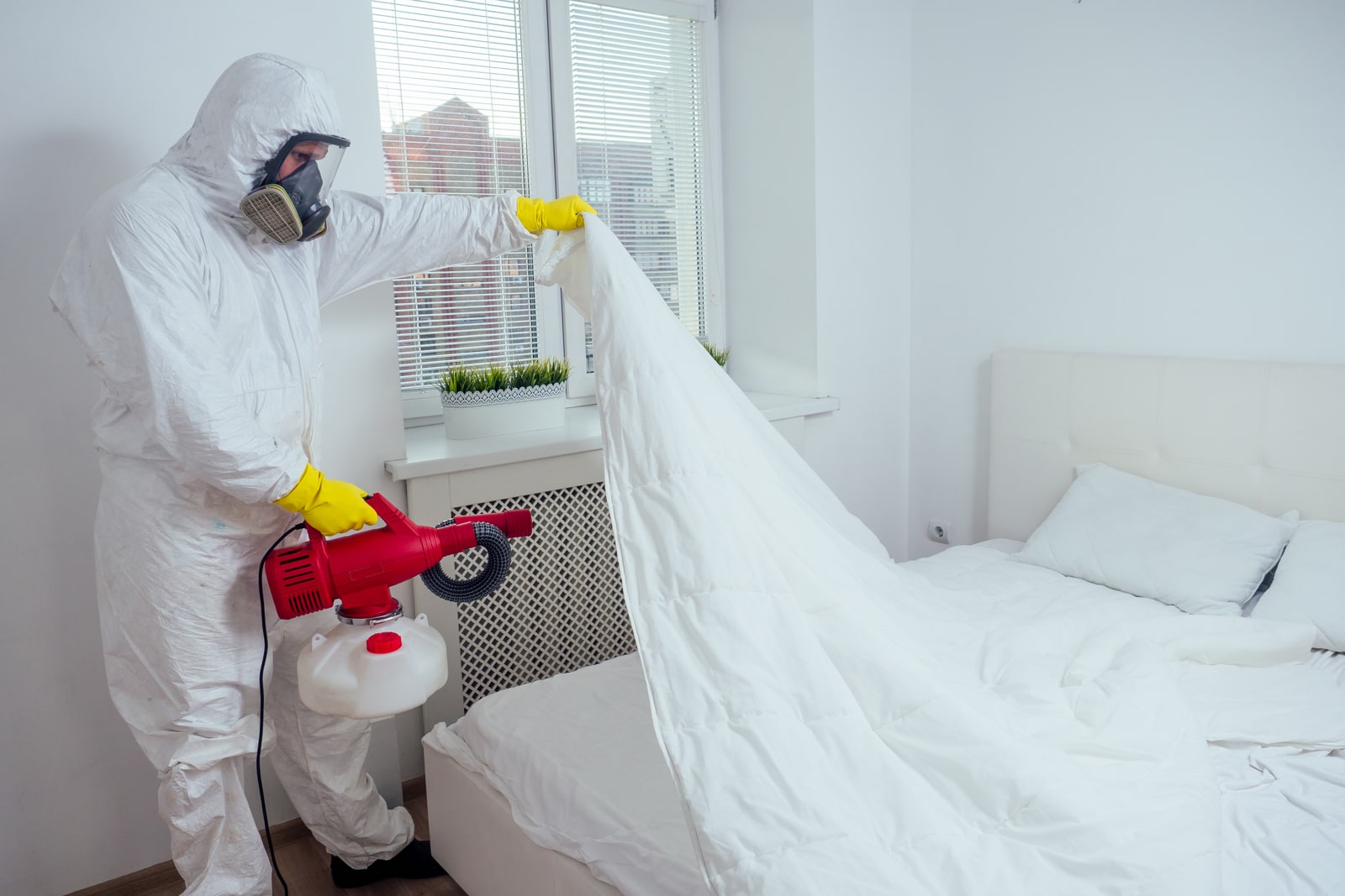 Bed Bug Control Services Pest controller near me in Thames Ditton