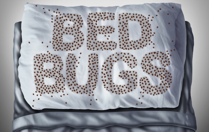 Bed Bug Pest Controllers