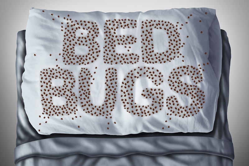 Bed Bug Pest Controllers