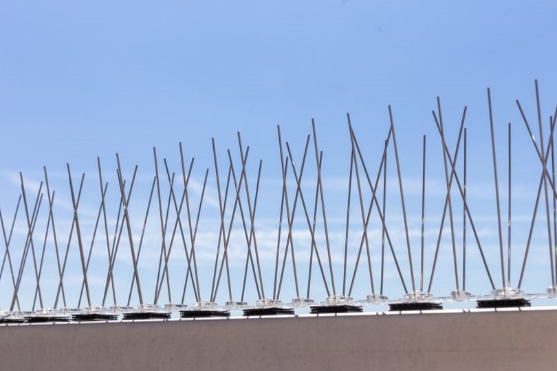 Bird Prevention Spikes