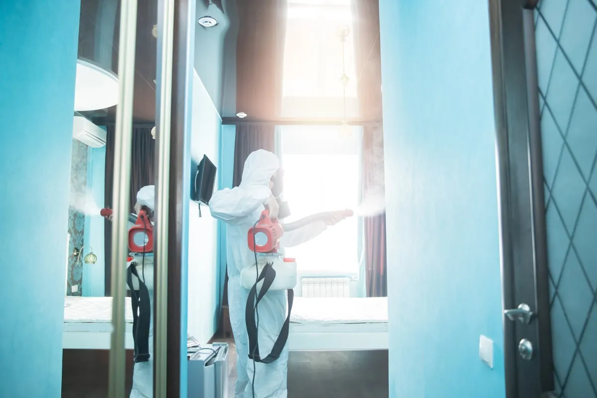 Book Commercial Pest Control Insect removal and treatment Dorking