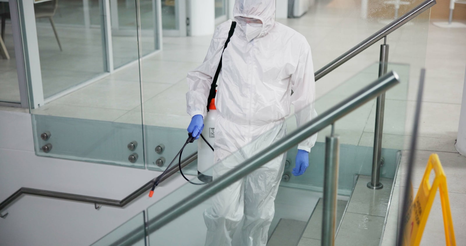 Commercial Pest Controllers Nearby Pest controller near me in Roehampton