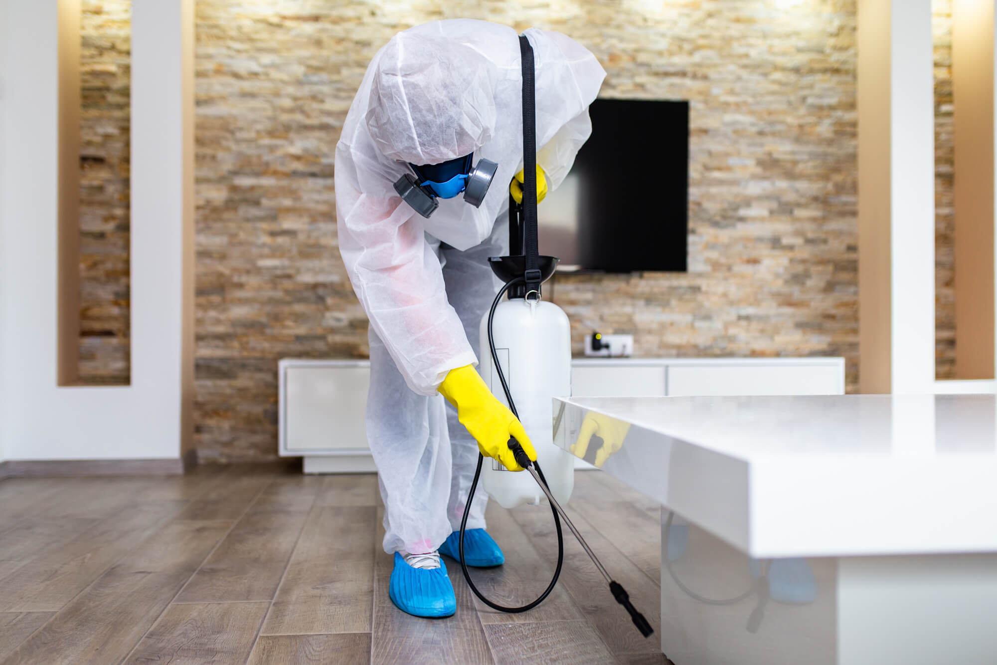 Effective Pest Control Extermination Pest controller near me in Mitcham