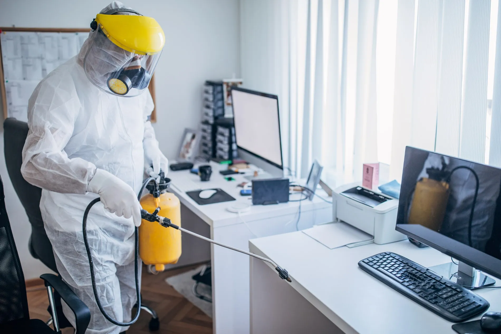 Office Pest Control Insect removal and treatment Merton