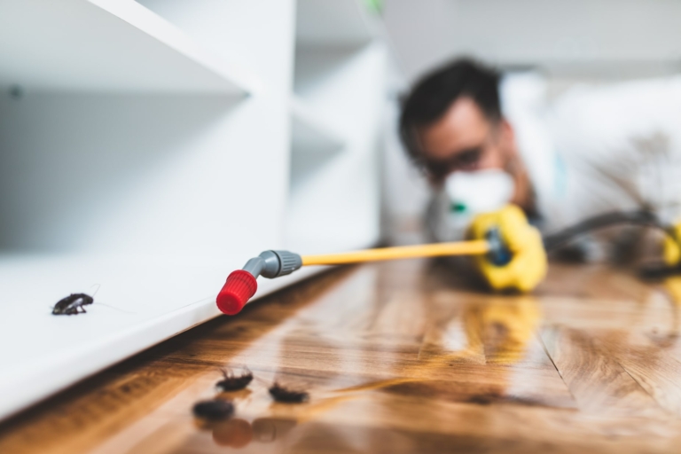 Independent pest control company in Ashtead, Surrey
