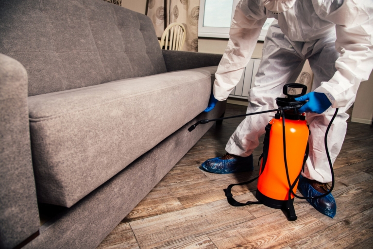 Pest control services for all pest problems in Chessington, Surrey