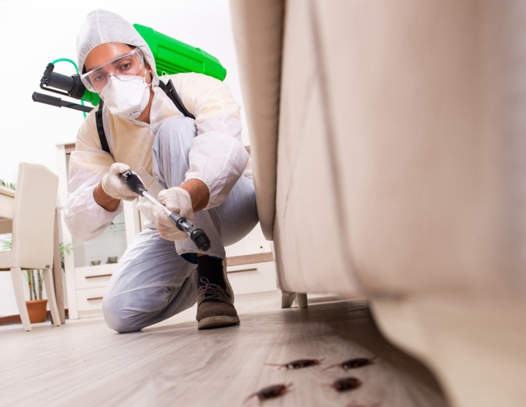 Certified pest control and management Farnham