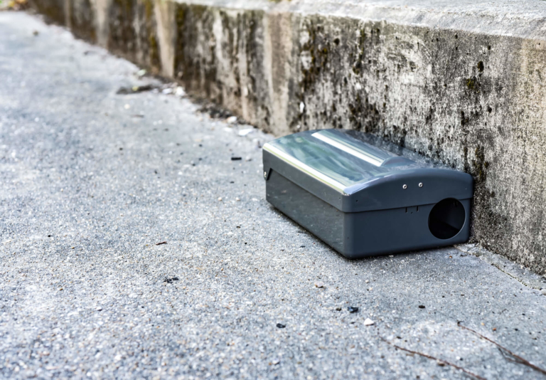 Pest Control Services Redhill