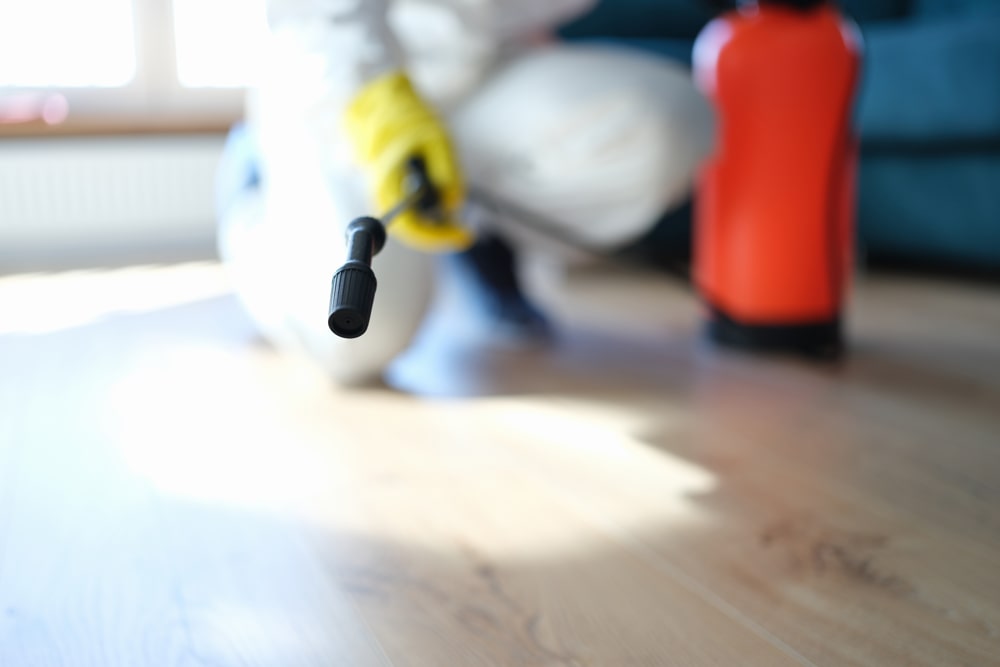 Pest Control Streatham Pest controller near me in Streatham