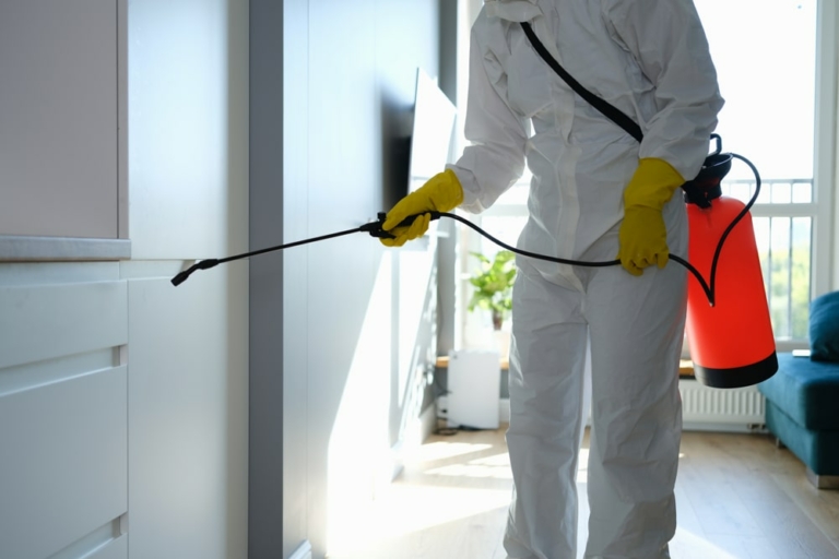 Pest Control Thornton Heath