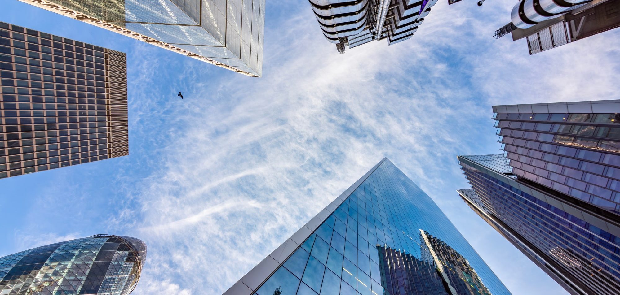 Expert commercial pest management services - contact us - Pest Management Solutions For Commercial Buildings