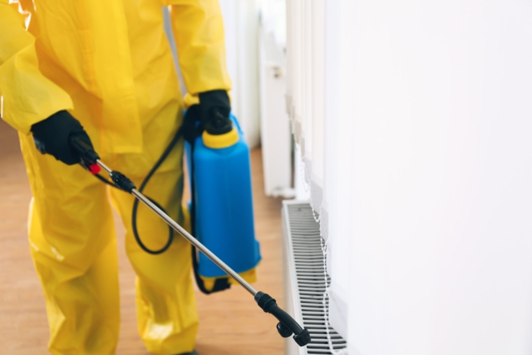 Pest Control Services
